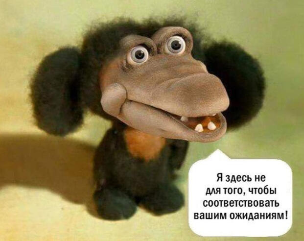 я здесь не для того чтобы соответствовать вашим ожиданиям